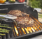 New Weber Spirit® EP-435