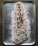 ProQ Curing kit Salmon