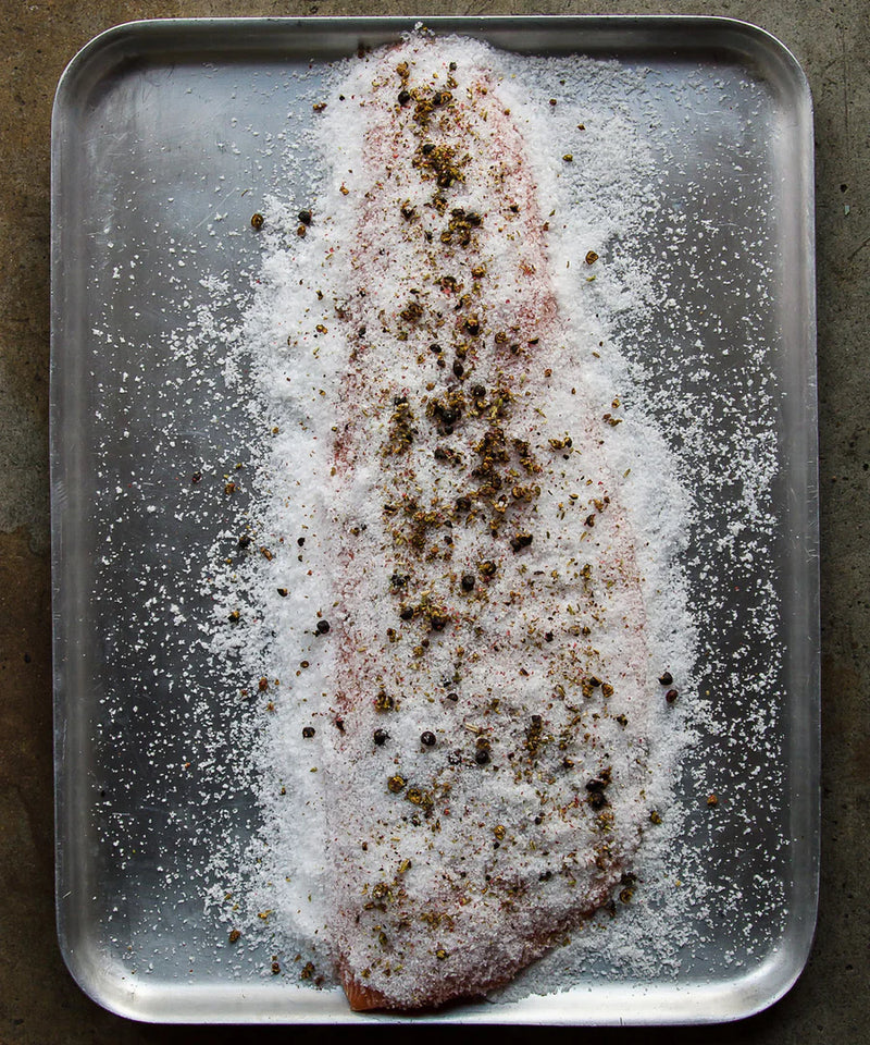 ProQ Curing kit Salmon