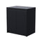 Fairford Double Door Cabinet (Black)